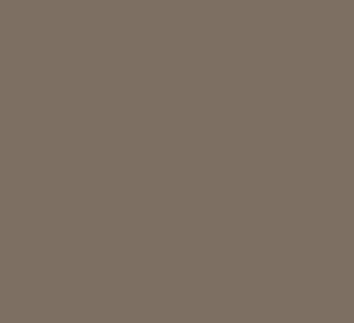 Laminatprøve Earth (F5342)